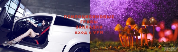 ГАЛЛЮЦИНОГЕННЫЕ ГРИБЫ Бронницы