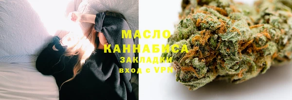 тгк Дмитриев