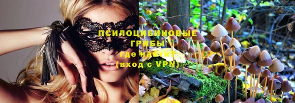 ГАЛЛЮЦИНОГЕННЫЕ ГРИБЫ Бронницы