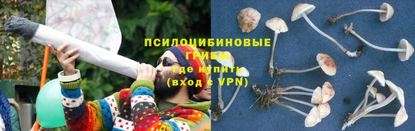 гашик Бородино