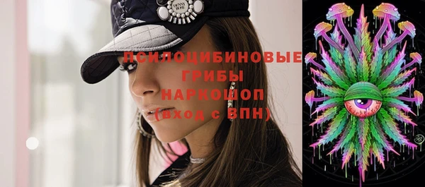 гашик Бородино