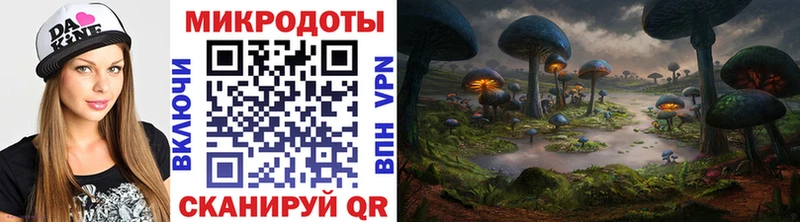Галлюциногенные грибы прущие грибы  Данилов 